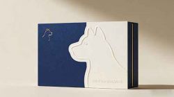 一个高端类纸张AI提示词